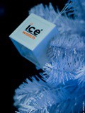 Ice watch – Le sablier du temps prend des couleurs